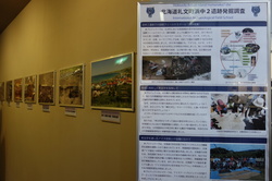 Panel-1.JPG